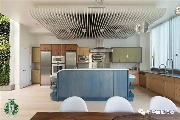 植物墙居家,特色植物墙