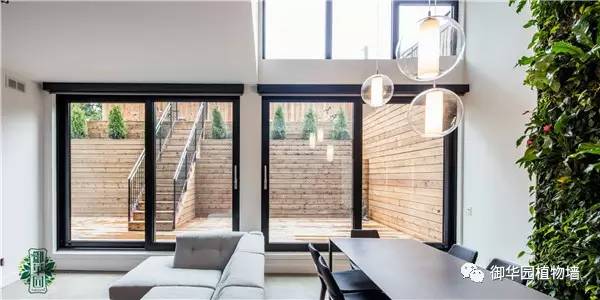 植物墙居家,特色植物墙