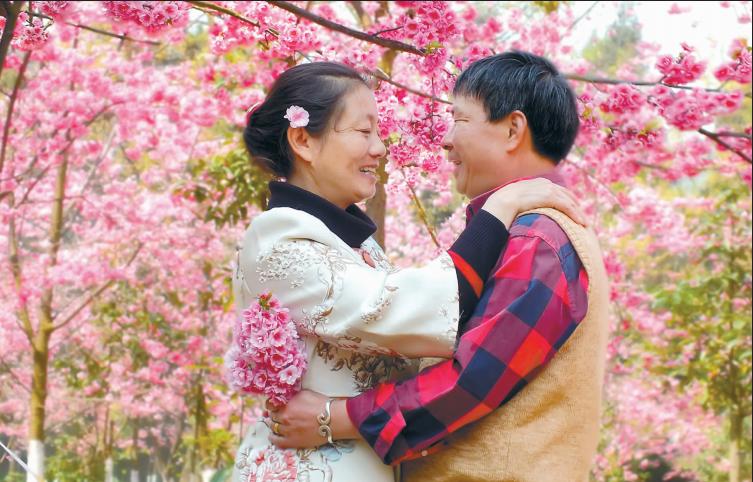 美不胜收的花海美景尽收眼底,昆明公园花海奇观美景尽收眼底