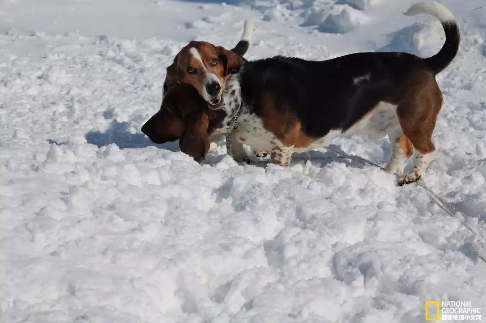 国家地理摄影图片冬天,中国国家地理景观冬季