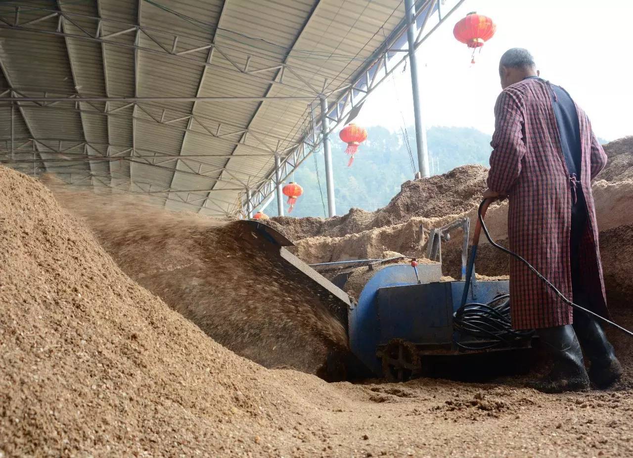 松桃县农村致富,松桃就业