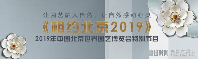 相约2021一花一世界配乐朗诵,相约北京千亩花海