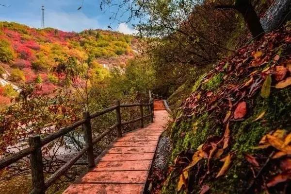 景区年票是怎么办理的,旅游年票的办理时间是多久