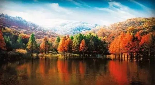 景区年票是怎么办理的,旅游年票的办理时间是多久