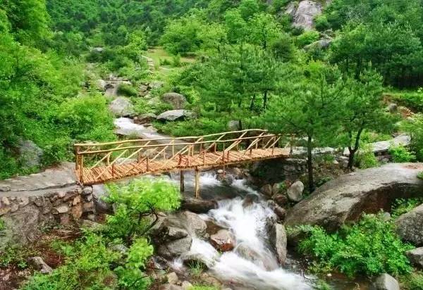 景区年票是怎么办理的,旅游年票的办理时间是多久