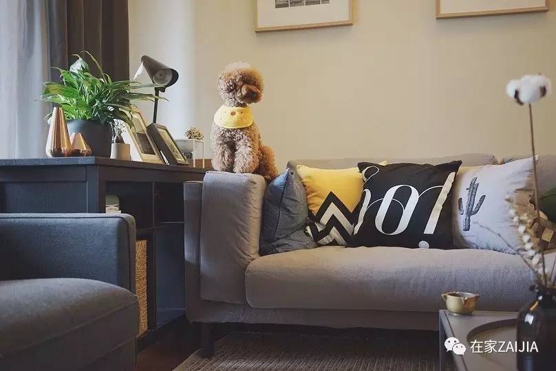 遮、盖、买，小夫妻这样对付老土精装房，悔不当初没买毛坯房