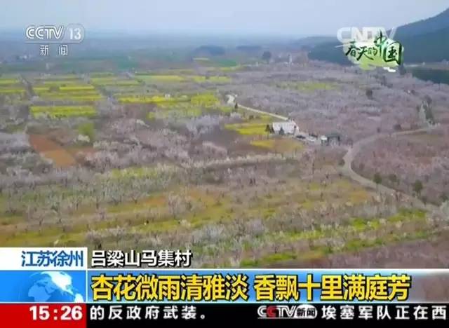 徐州这个村彻底火了，央视一天两次直播！大徐州你咋这么牛