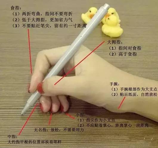 笔杆子书法空中课堂握笔姿势,毛笔字书法握笔姿势教程视频