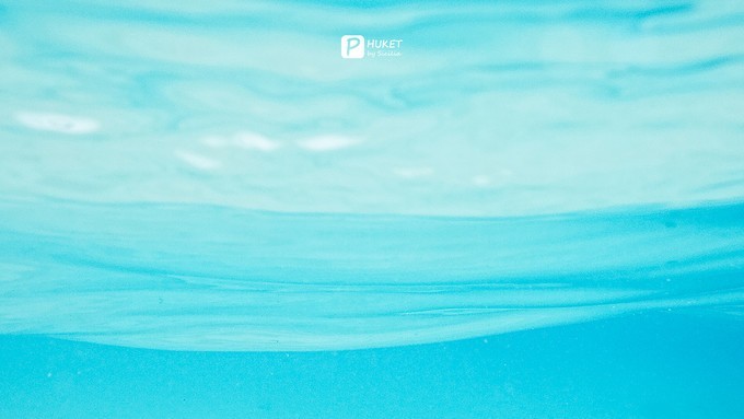 每当海岛又下起了雨,每当海岛又下起了雨读书笔记