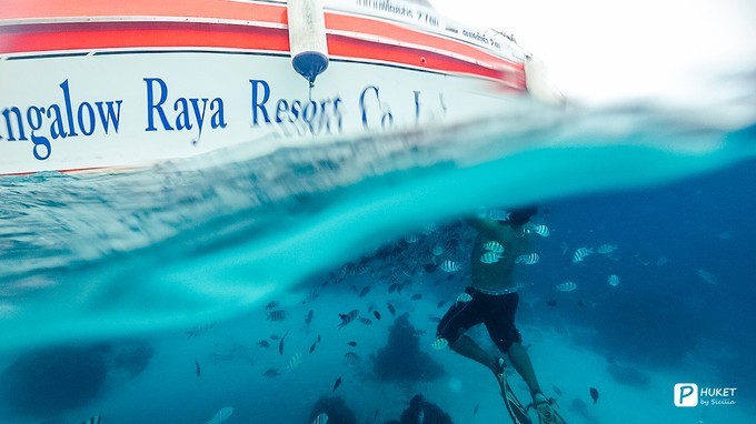 每当海岛又下起了雨,每当海岛又下起了雨读书笔记