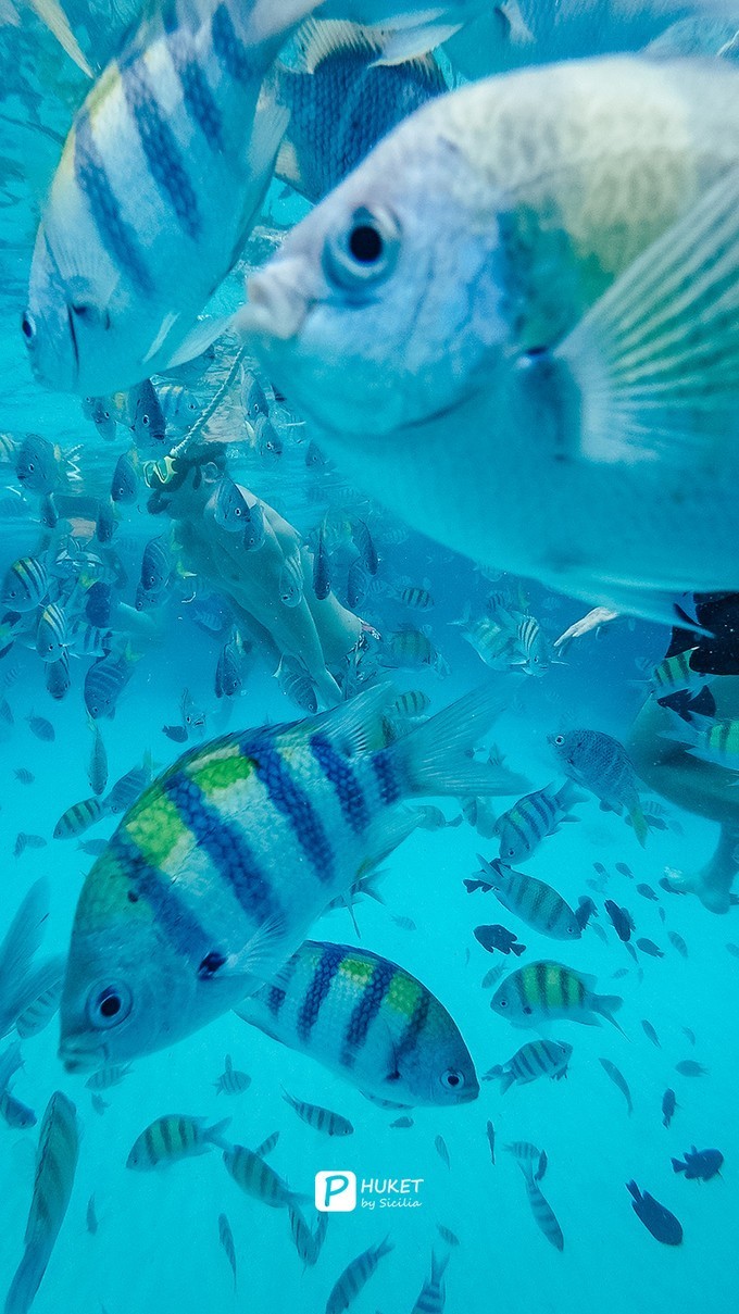 每当海岛又下起了雨,每当海岛又下起了雨读书笔记