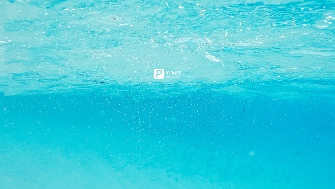 每当海岛又下起了雨,每当海岛又下起了雨读书笔记