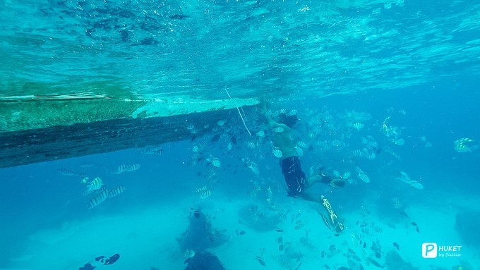 每当海岛又下起了雨,每当海岛又下起了雨读书笔记