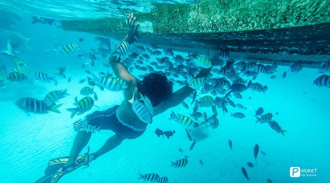 每当海岛又下起了雨,每当海岛又下起了雨读书笔记