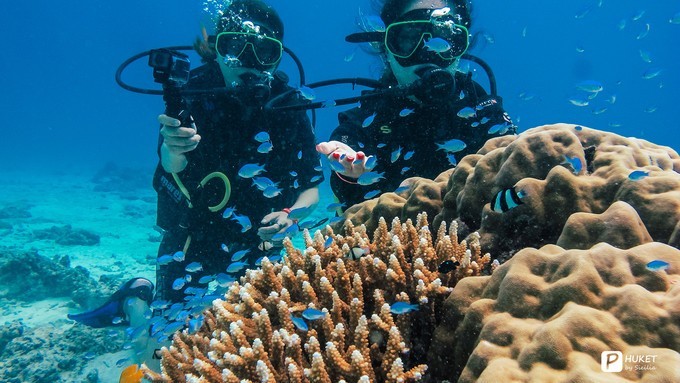 每当海岛又下起了雨,每当海岛又下起了雨读书笔记