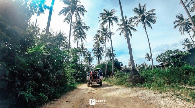 每当海岛又下起了雨,每当海岛又下起了雨读书笔记