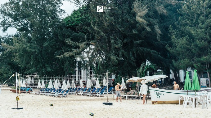 每当海岛又下起了雨,每当海岛又下起了雨读书笔记