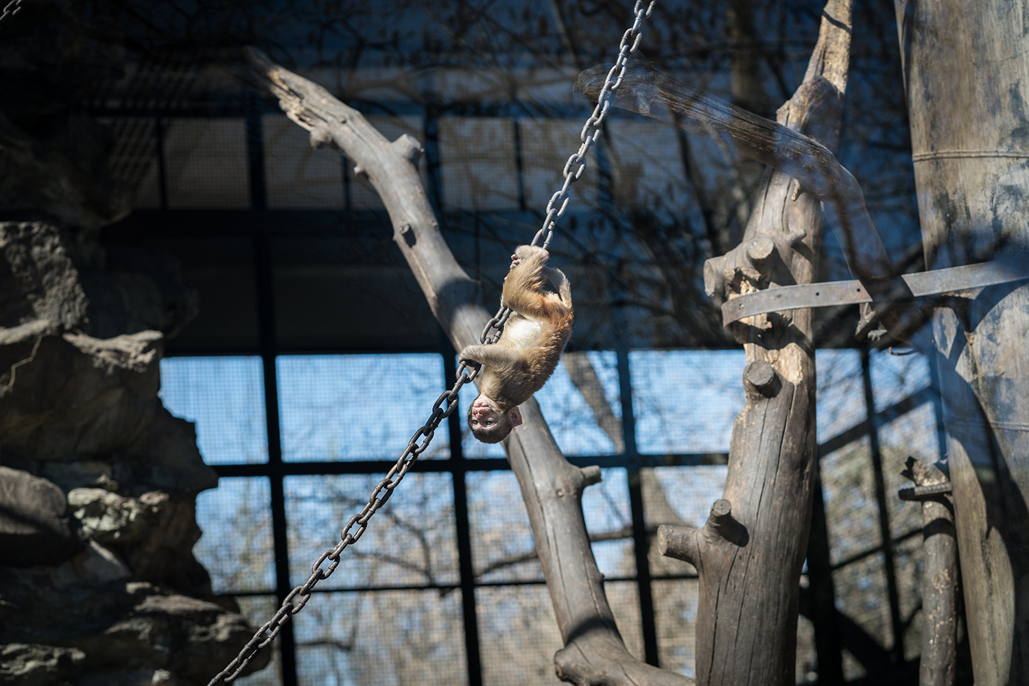 索尼fe85mmf18镜头正式开启预售,索尼fe85mmf1.8风景