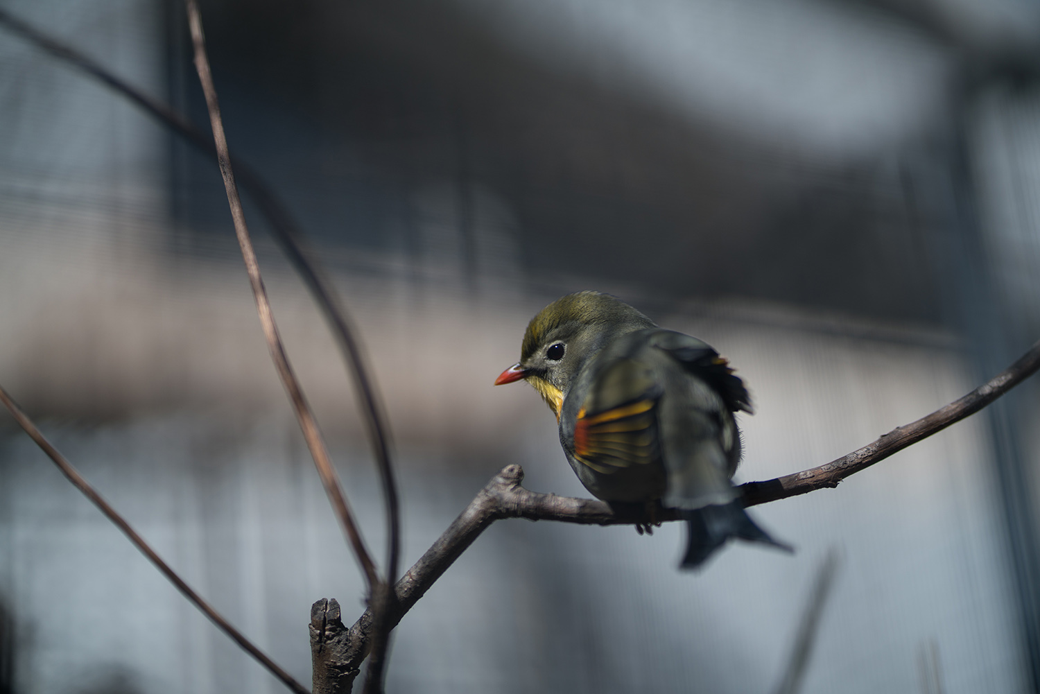 索尼fe85mmf18镜头正式开启预售,索尼fe85mmf1.8风景