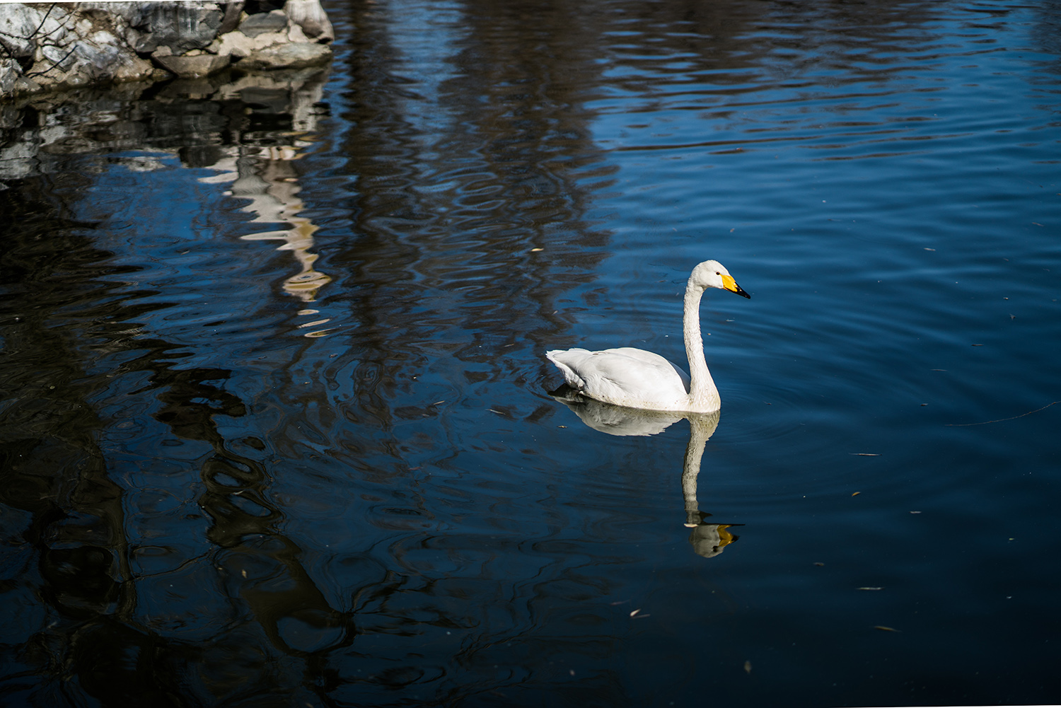 索尼fe85mmf18镜头正式开启预售,索尼fe85mmf1.8风景