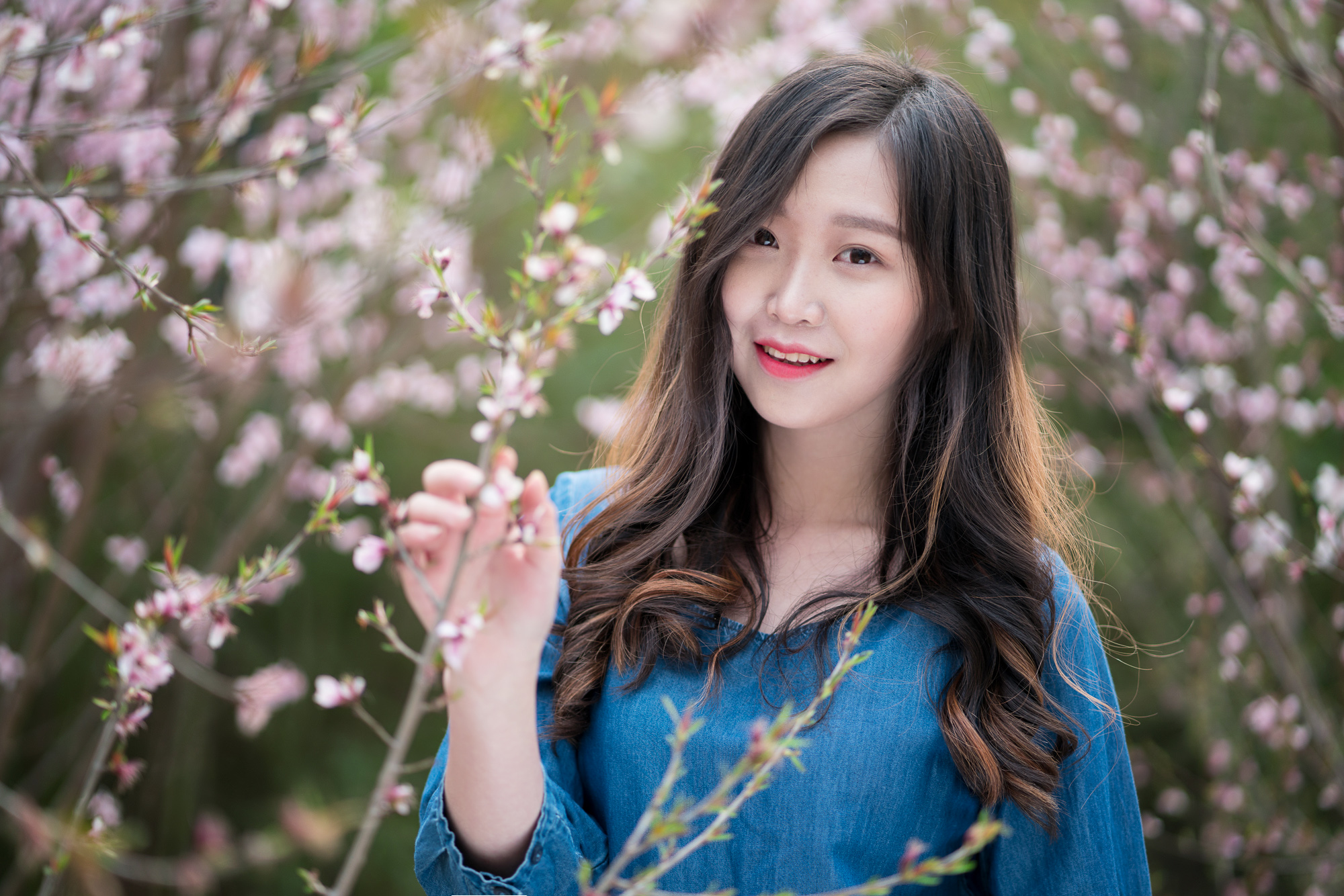 索尼fe85mmf18镜头正式开启预售,索尼fe85mmf1.8风景