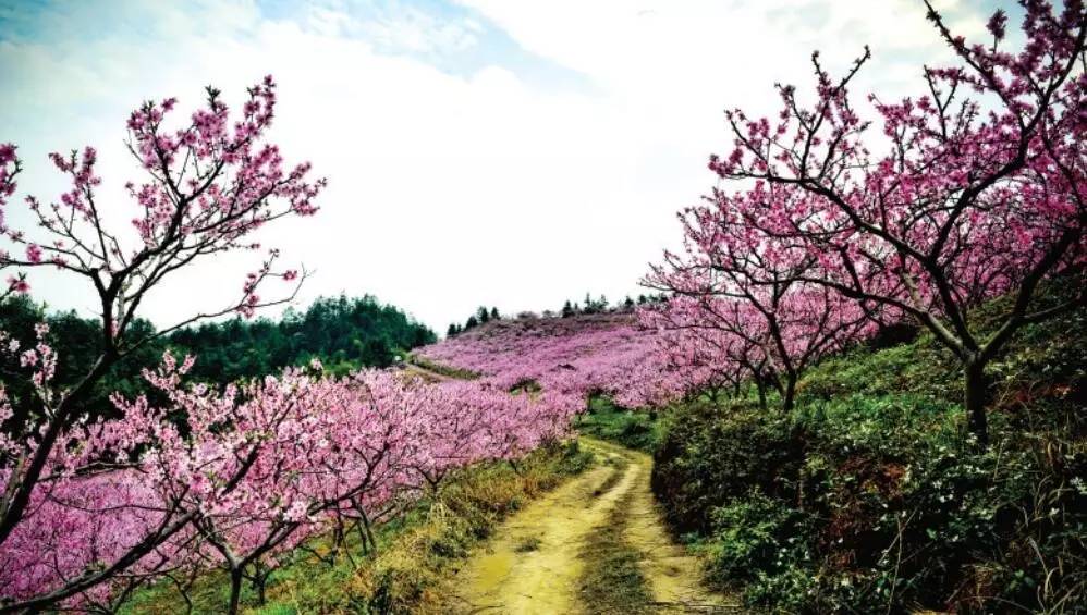 10大主题50条旅游精品线路,浏阳夏季游玩攻略