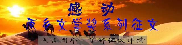 鸿雁的生活的习性是什么,鸿雁贺炜生活