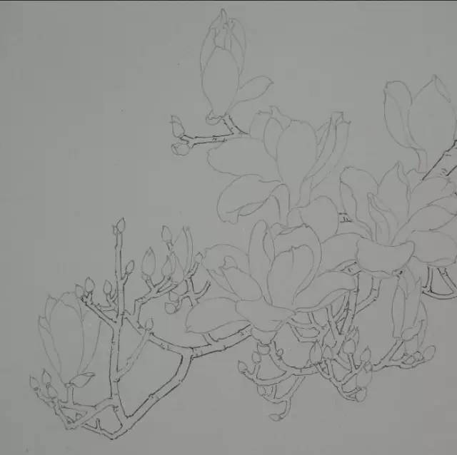 玉兰花儿童绘画,玉兰花绘画作品命名