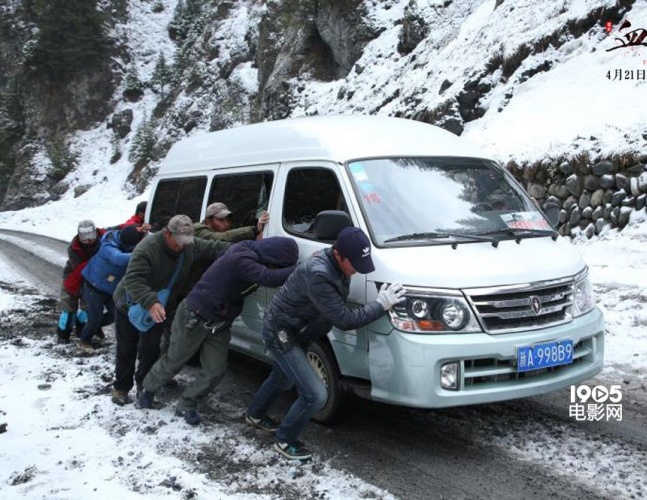 血狼犬相关的电影,血狼犬超清
