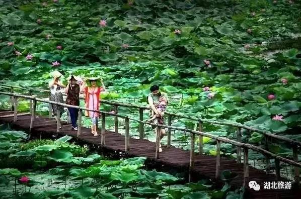 荆州古城历史文化旅,领略荆州文化