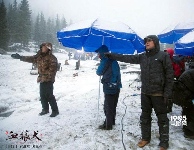 血狼犬相关的电影,血狼犬超清