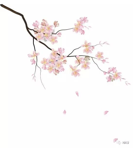 农大朗读者｜第一期：家乡，带不走的只有你