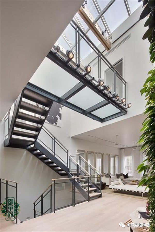 植物墙居家,特色植物墙