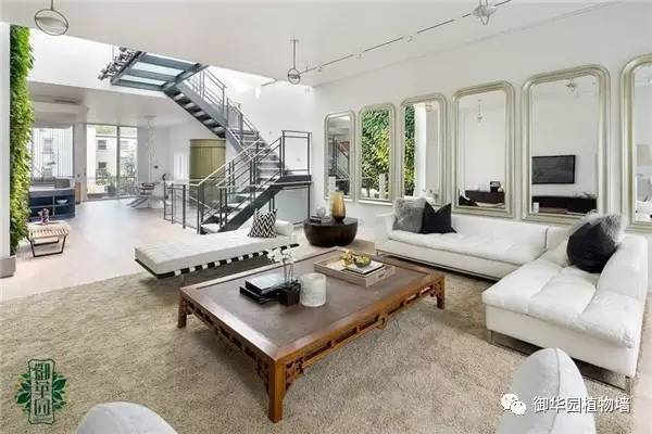 植物墙居家,特色植物墙