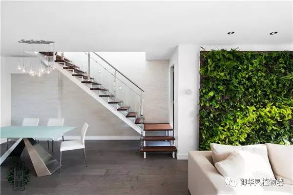 植物墙居家,特色植物墙