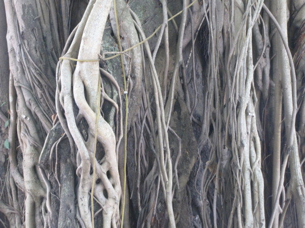 斯里兰卡个人旅游攻略,斯里兰卡华人旅游攻略视频