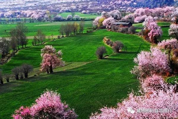 成都出发—川藏南线-北线-丹巴-色达五明佛学院-亚青寺-德格印经院-昌都-然乌湖-来古冰川-波密-林芝-拉萨经典十二日游