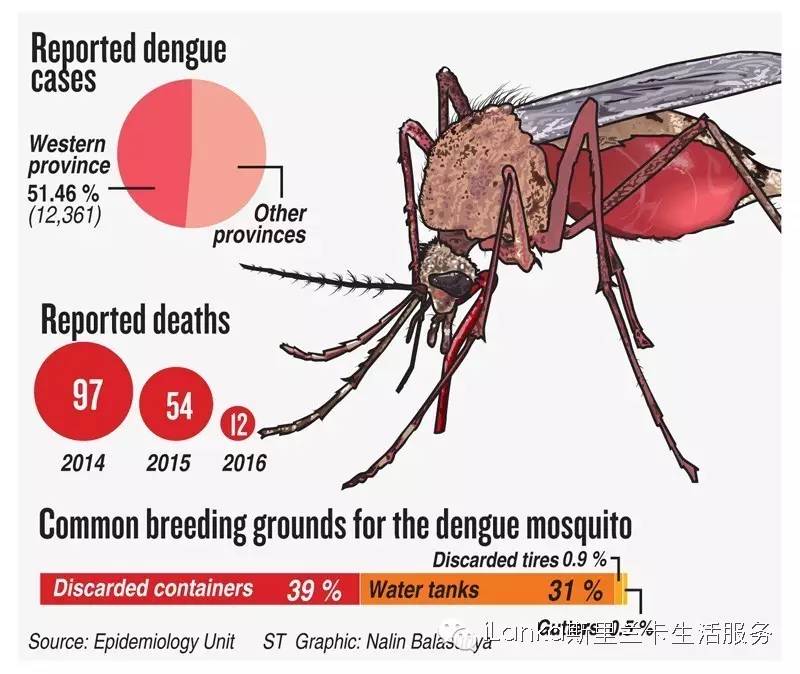 斯里兰卡登革热死亡率,斯里兰卡登革热症状