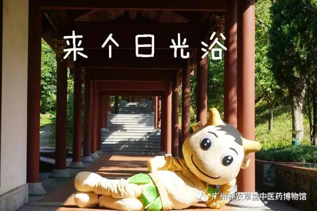 中药熬干了但是没糊还能加水吗,中药把水熬干了怎么办