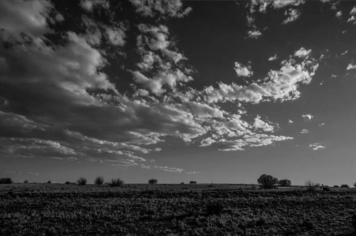 再见阿狼，老无所依的变种人