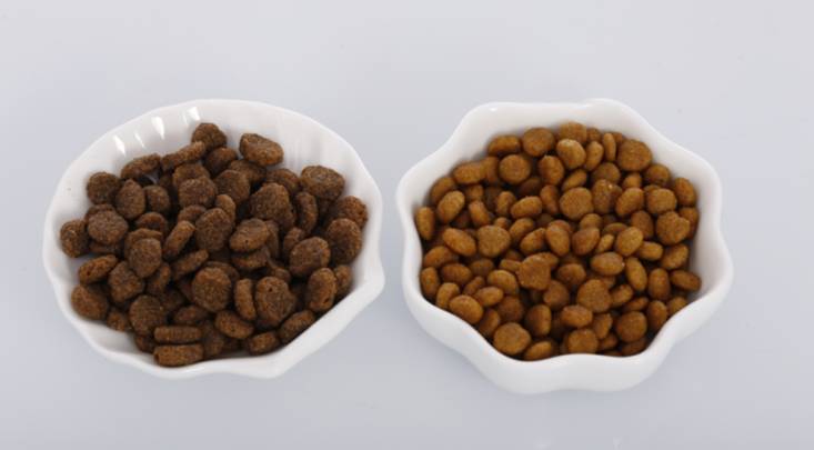 看完速度删!一篇只有宠物业内人士知道的内幕!