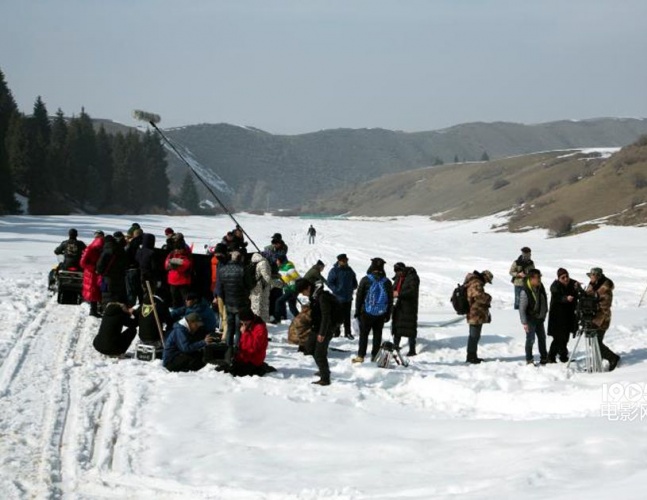 血狼犬相关的电影,血狼犬超清
