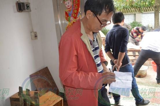 只用了225天，它就成了“猪王”！