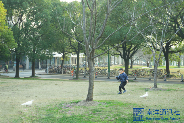 动人心弦独奏曲,动人心弦原唱完整版