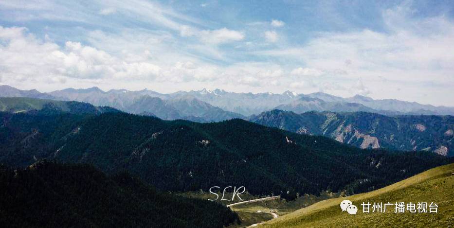 「美文」新“甘州八景”之六康乐牧歌