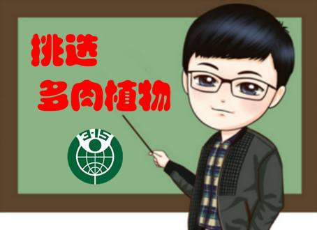 多肉植物土壤选购技巧图片,新手如何挑选多肉植物