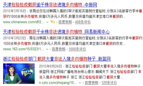 多肉植物土壤选购技巧图片,新手如何挑选多肉植物