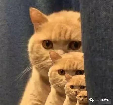 卡地亚手表八年质保如何查询,卡地亚手表的保修期怎么算的