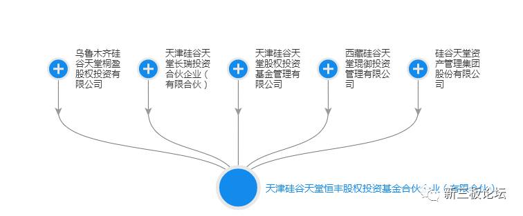 硅谷天堂最大受益公司,硅谷天堂利润