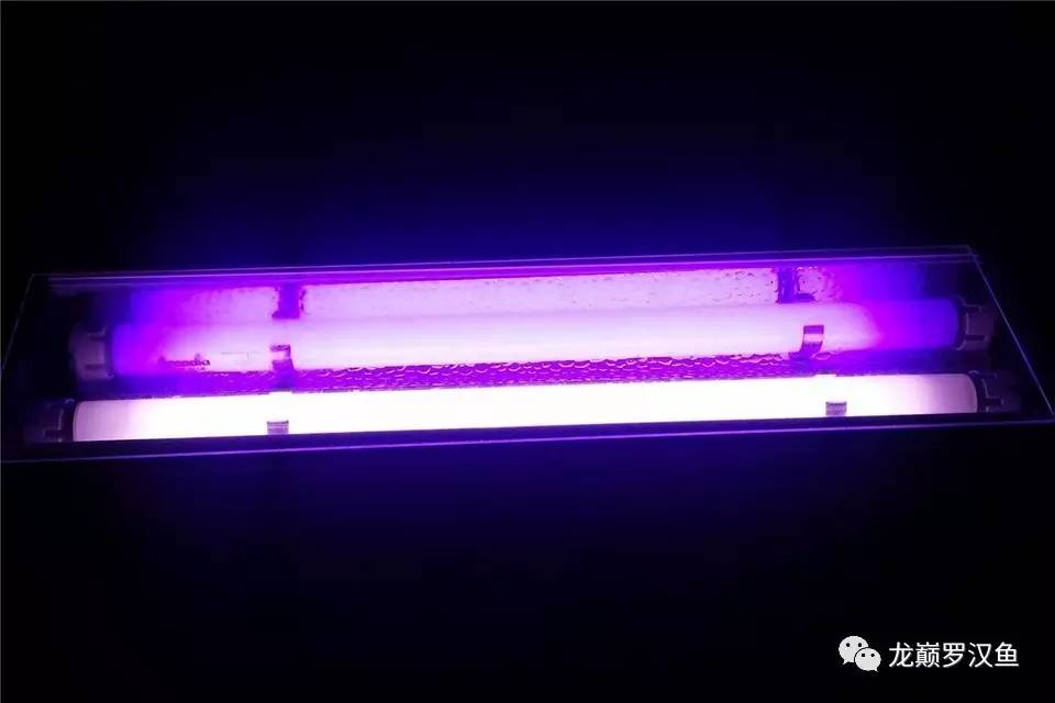 水族灯选择,水族专用灯